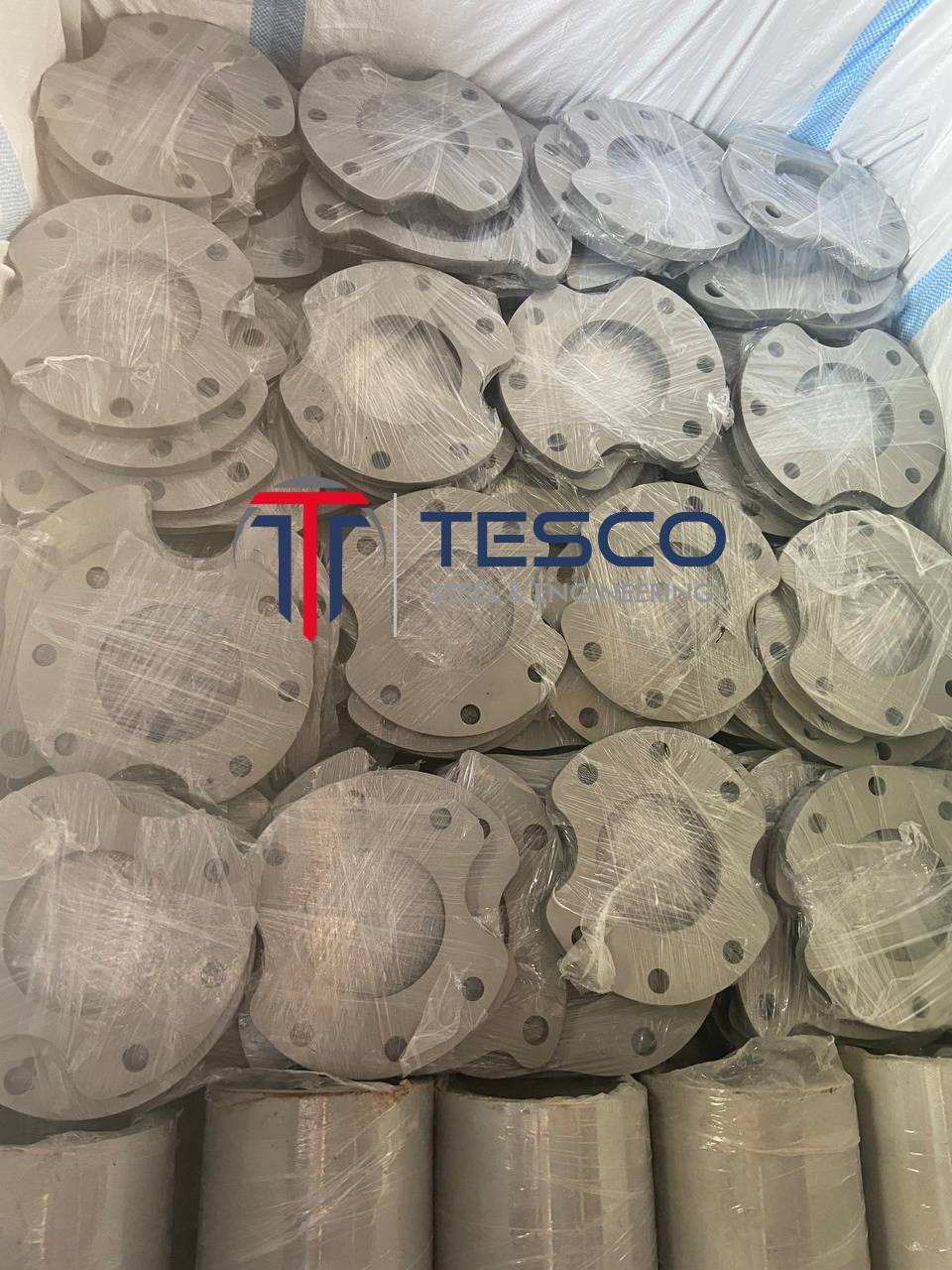 Stainless steel blind flanges individually plastic-wrapped and bulk-packed in export container — Tesco Steel & Engineering Mumbai India